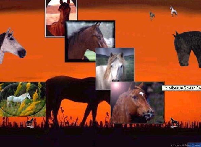 Horsebeauty Screen Saver