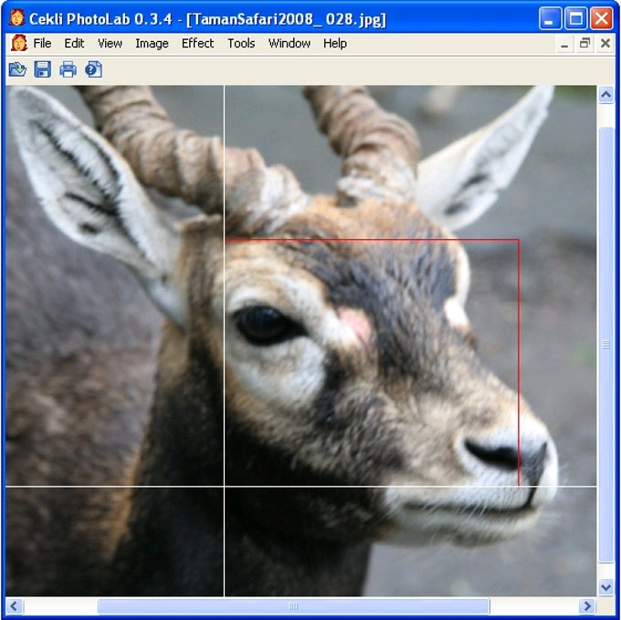 CEKLi PhotoLab CEKLi PhotoLab