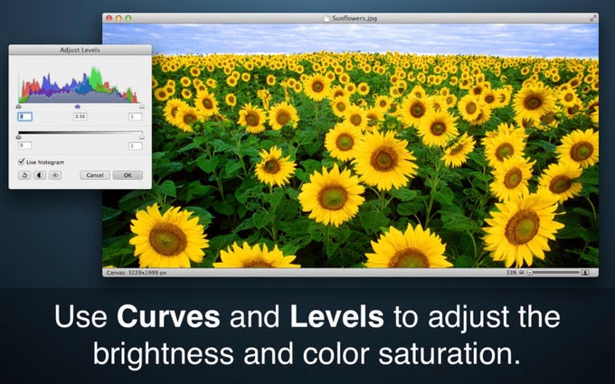 Acorn 4 - The Image Editor for Humans Acorn 4 - The Image Editor for Humans