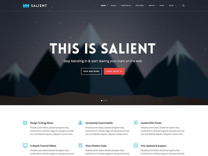 Salient - Responsive Multi-Purpose Theme Salient - Responsive Multi-Purpose Theme