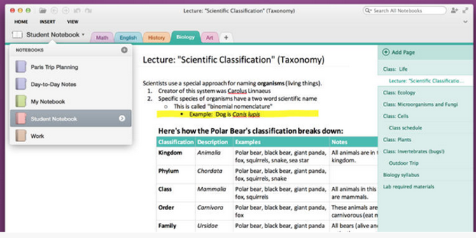 OneNote OneNote