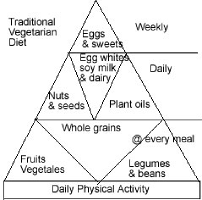 Diet Science Diet Science
