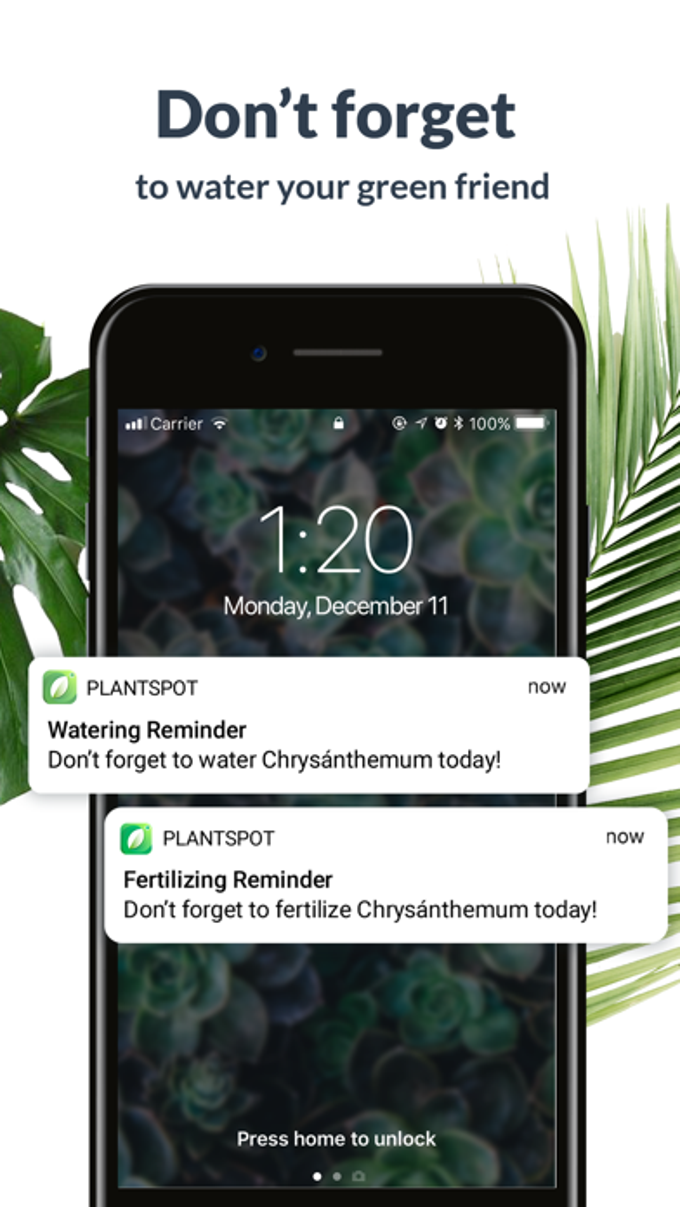 PlantSpot - Plant Identifier