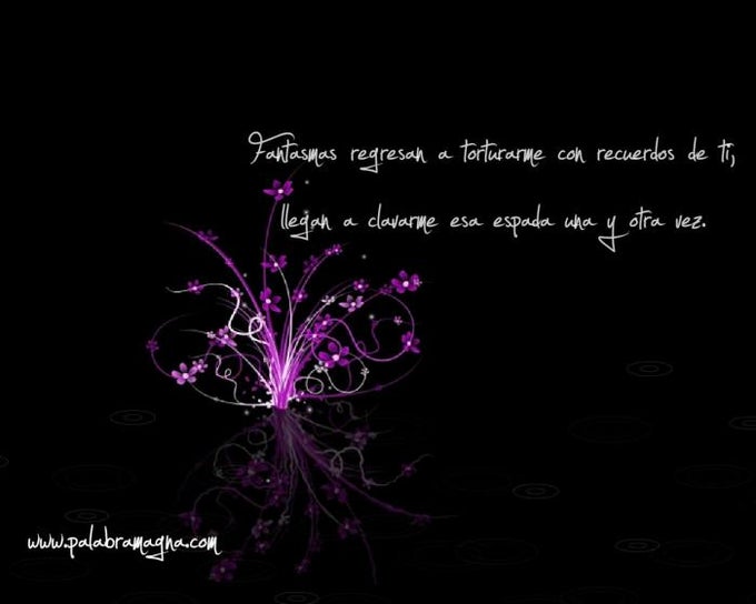 Palabra Magna Palabra Magna