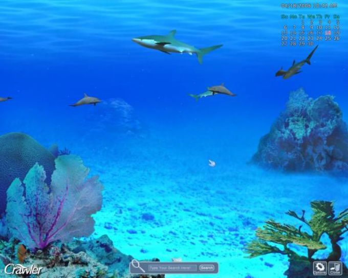 marine aquarium screensaver for chrome os