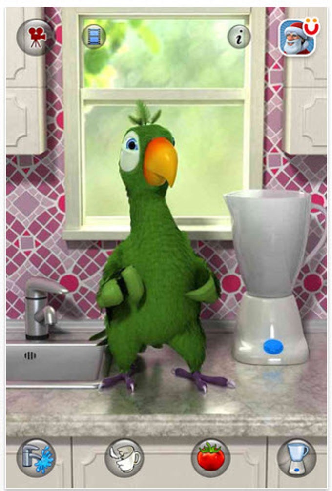 Talking Pierre il Pappagallo