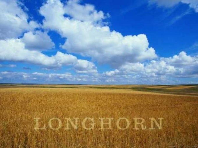 windows longhorn wallpaper 1440p windows longhorn wallpaper 1440p