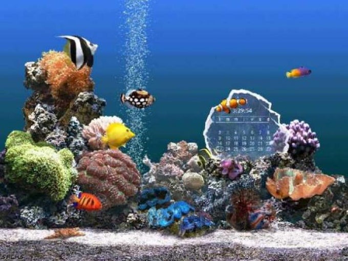 SereneScreen Marine Aquarium SereneScreen Marine Aquarium