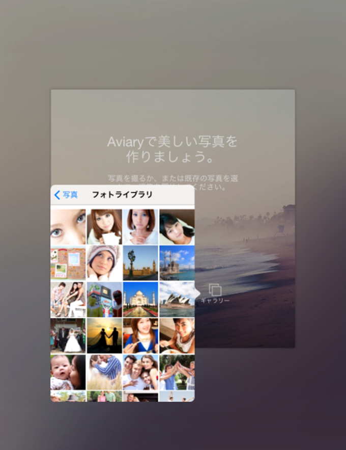 Aviary Aviary