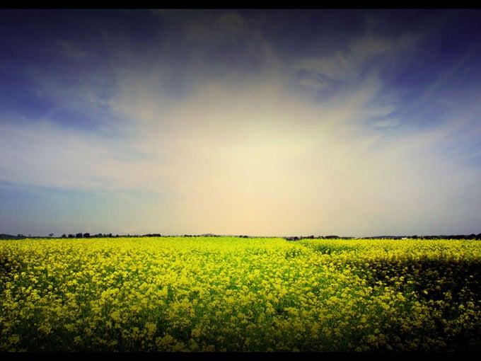 Terra Wallpaper Pack Terra Wallpaper Pack