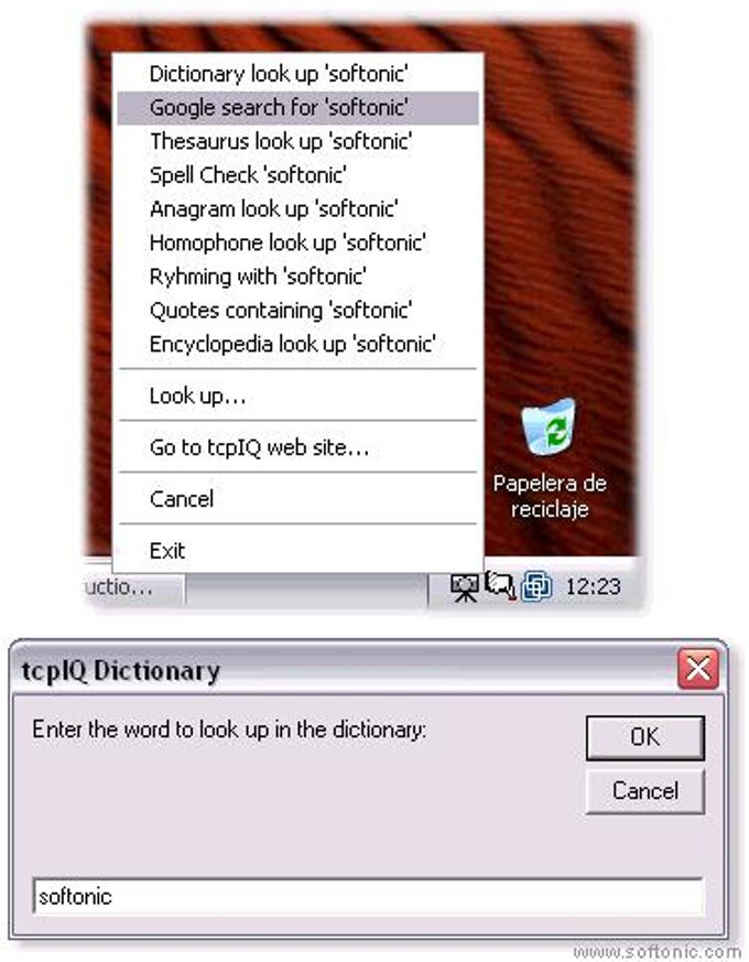 tcpIQ Dictionary tcpIQ Dictionary