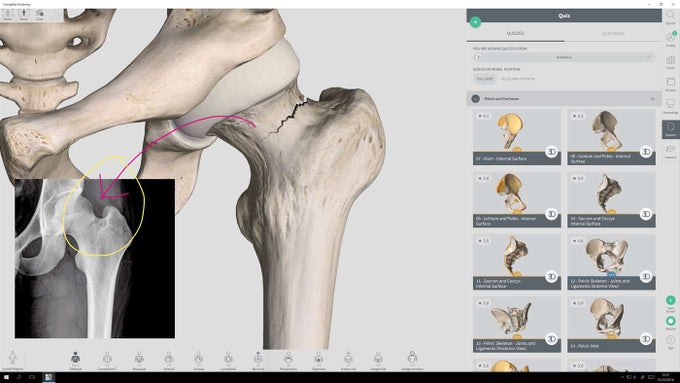 Complete Anatomy Complete Anatomy