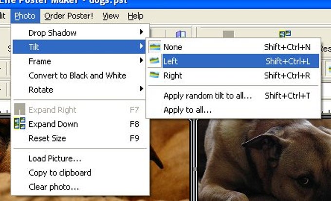 Life Poster Maker Life Poster Maker