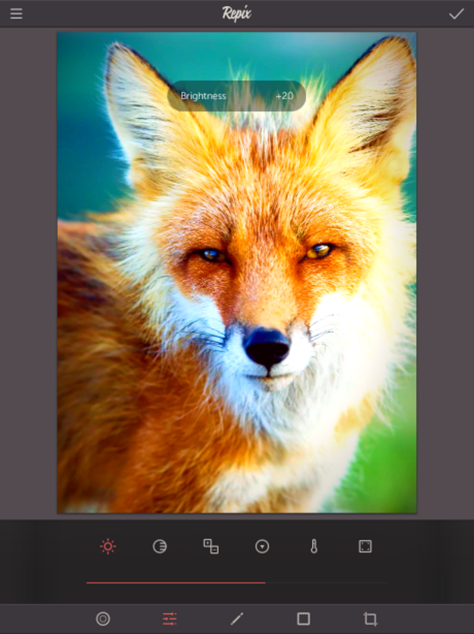 Repix Repix