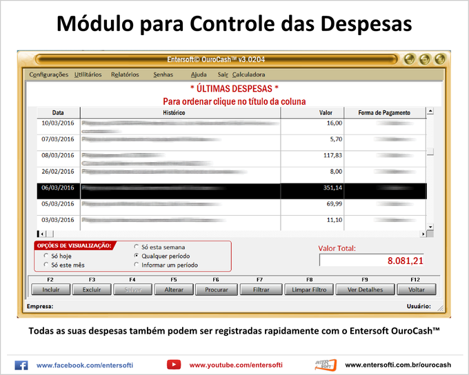 Controle Financeiro - Fluxo de caixa - Download