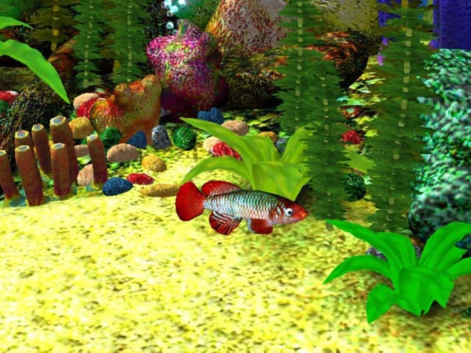 Free 3D Aquarium Screensaver Free 3D Aquarium Screensaver