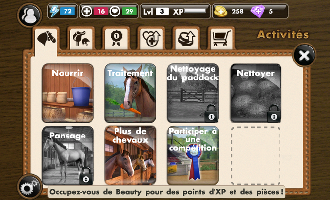 My Horse My Horse