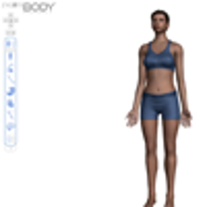 Zygote Body Zygote Body