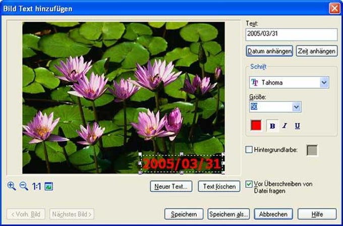 Ulead Photo Explorer Ulead Photo Explorer