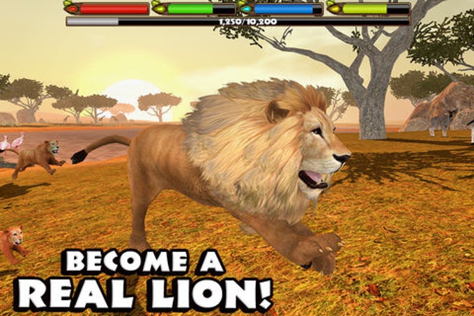 Lion Simulator -By Gluten Free Games -Compatible with  iPad,iPhone,Android,Google Play 