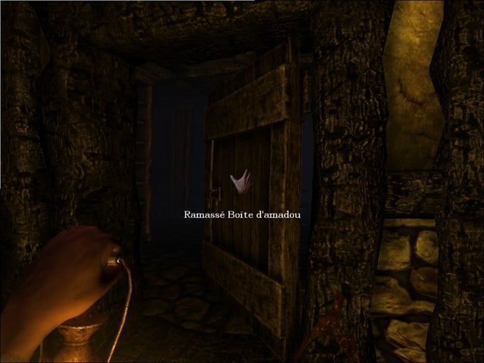 Amnesia: The Dark Descent