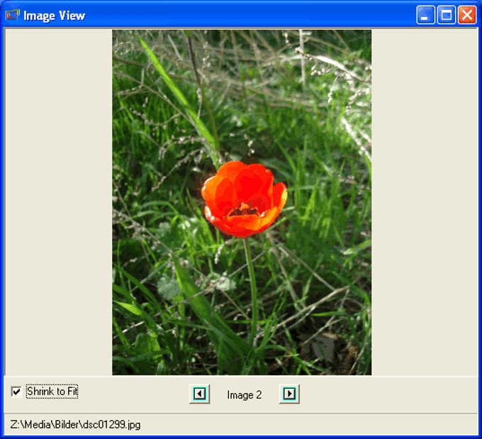 Resize Resize