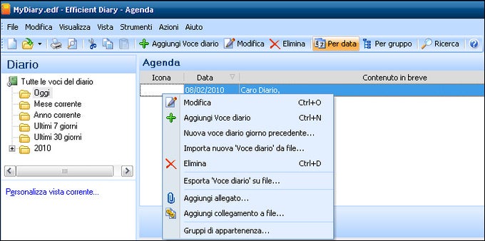 Efficient Diary Efficient Diary