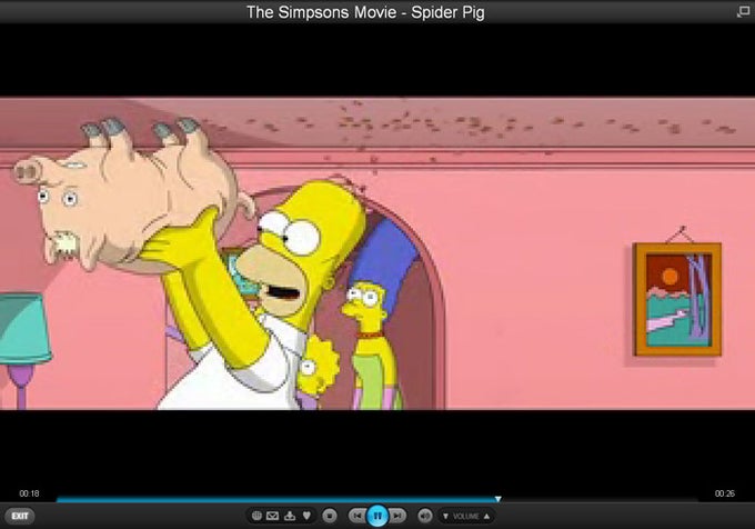 VeohTV Player VeohTV Player