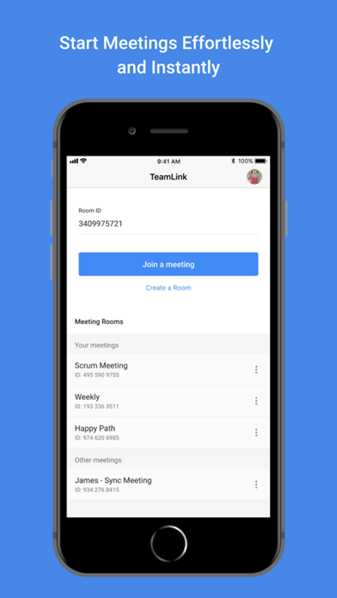TeamLink Video Conferencing