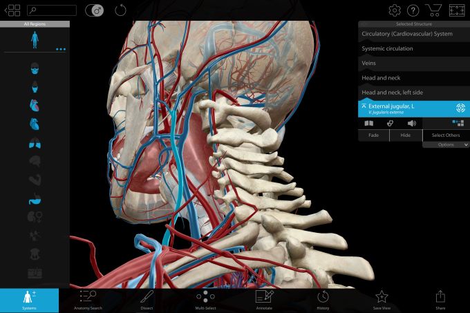 Visual Body 3d Human Anatomy Atlas 2 Primomusli