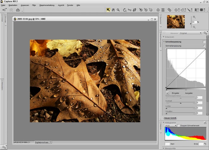 Nikon Capture NX Nikon Capture NX