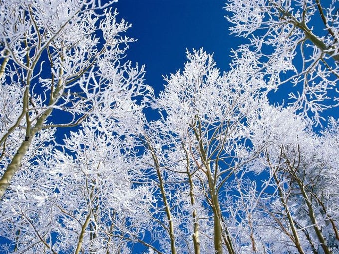 Winter Landscapes Free Screensaver Winter Landscapes Free Screensaver