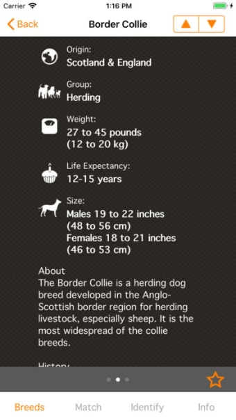 Perfect Dog X - All The Breeds