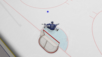 Virtual Goaltender