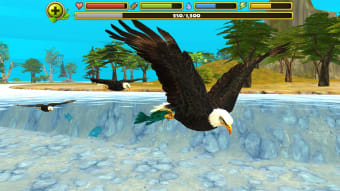 Eagle Simulator
