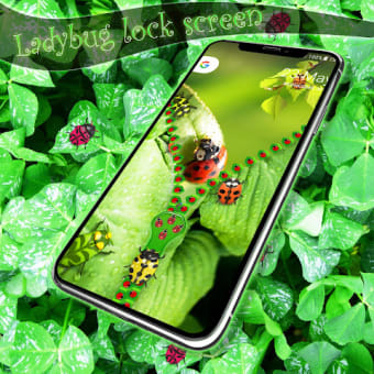 Ladybug lock screen