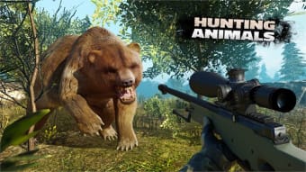 Hunting Animals 3D