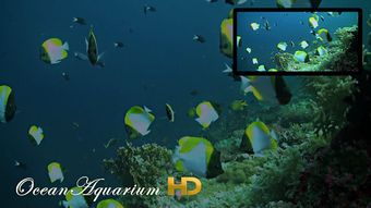 Ocean Aquarium HD