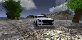 Mercedes Driving Simulator