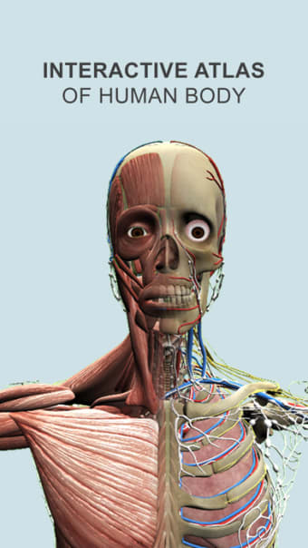 Explain 3D: Human body