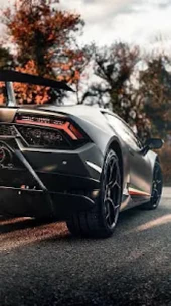 Lamborghini - Car Wallpaper