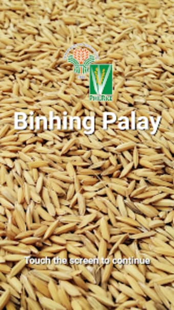 Binhing Palay