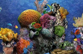 MyReef 3D Aquarium