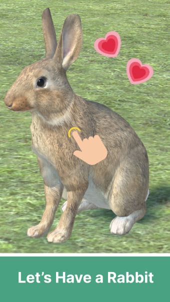Adopt A Rabbit : Virtual Pet