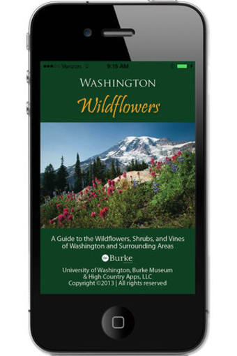 Washington Wildflowers