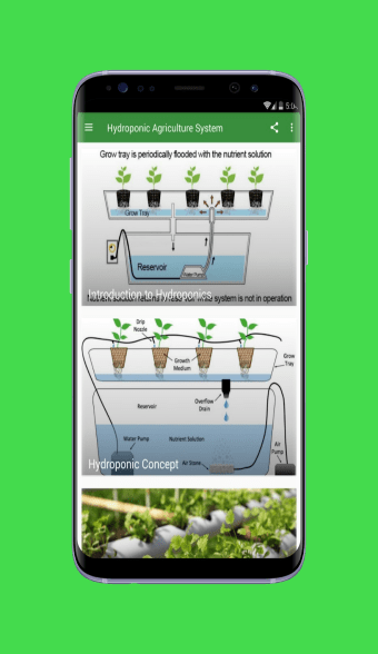 Hydroponic Agriculture System