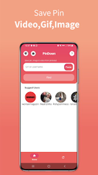 PinGrab-Pinterest Video Saver