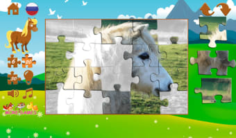 Pony puzzles