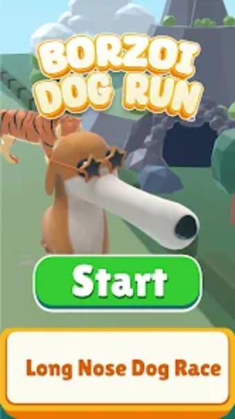 Borzoi: Long Nose Dog Running