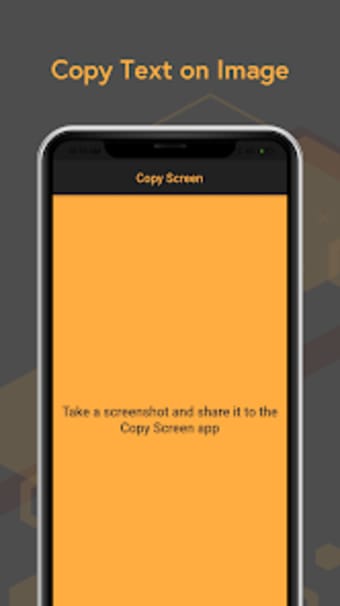 Copy Screen Text
